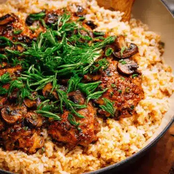 Smothered Chicken and Rice