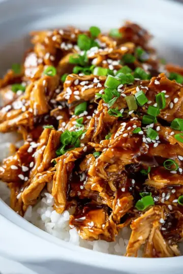 Slow Cooker Teriyaki Chicken