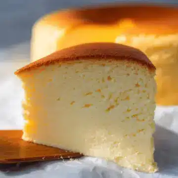 Jiggly Japanese Cheesecake