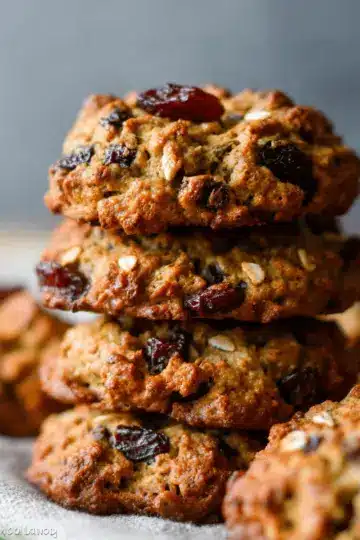 Breakfast Cookies