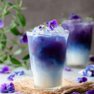 Butterfly Pea Milk
