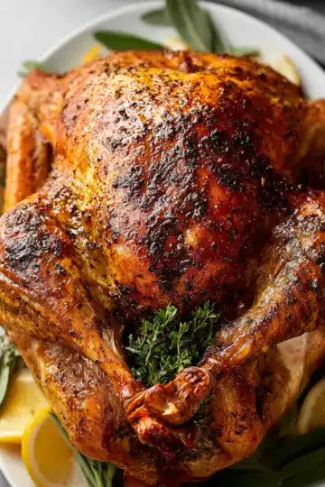 Easy Thanksgiving Turkey Recipe