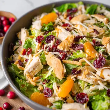 Asian Chicken Cranberry Salad